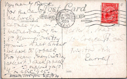 Animals Postcard - Fish Swimming, Artist C.T.Howard    SX147