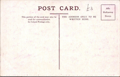 Children Postcard - Baby and Dog, Dr Barnardo's   SX150