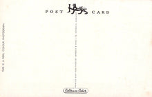 Load image into Gallery viewer, Cornwall Postcard - Padstow Harbour  VT556
