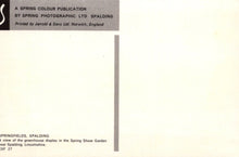 Load image into Gallery viewer, Lincolnshire Postcard - Greenhouse Display, Springfields, Spalding  VT570
