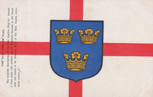 Load image into Gallery viewer, Heraldic Postcard - Heraldry, The East Anglian Flag  VT626
