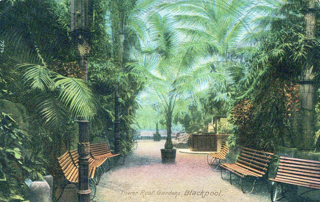 Lancashire Postcard - Blackpool, Tower Roof Gardens   SW18161