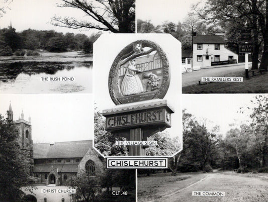 London Postcard  Views of Chislehurst   SW18070