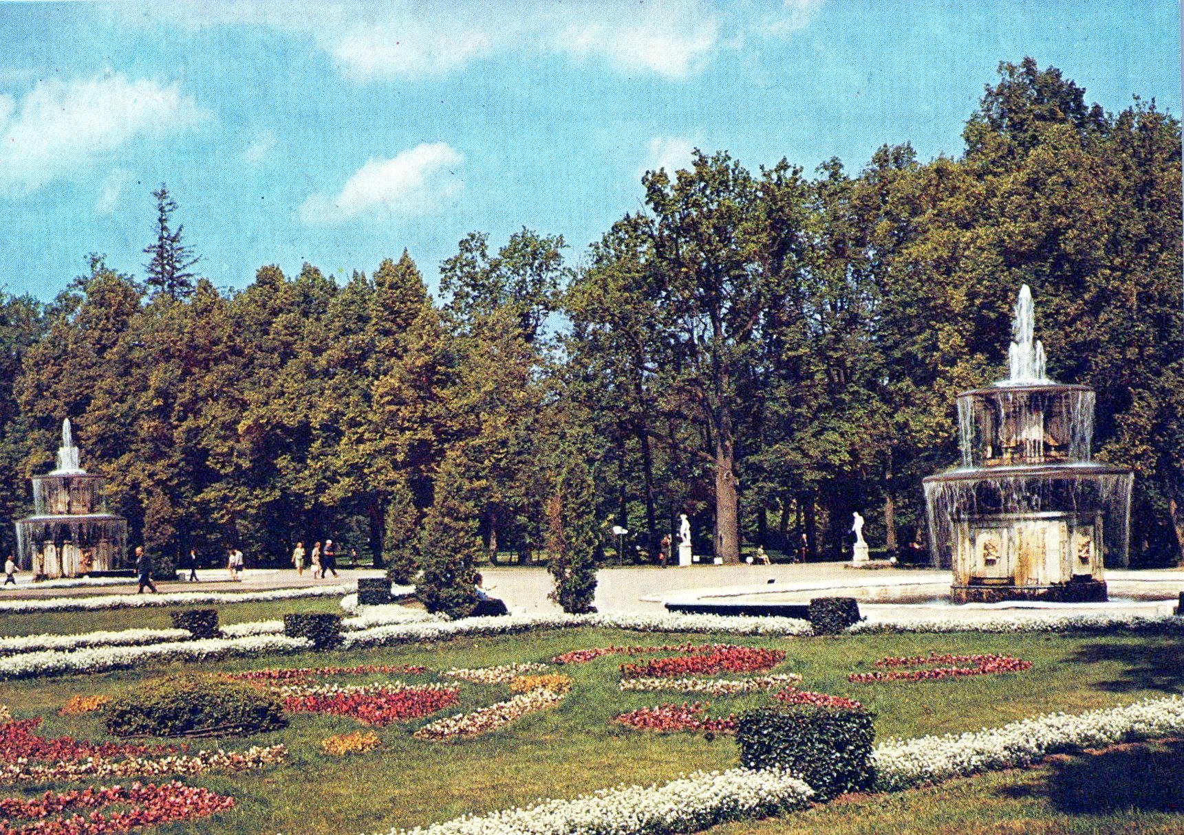 Russia Postcard - Petrodvorets, The Roman Fountains SW18082