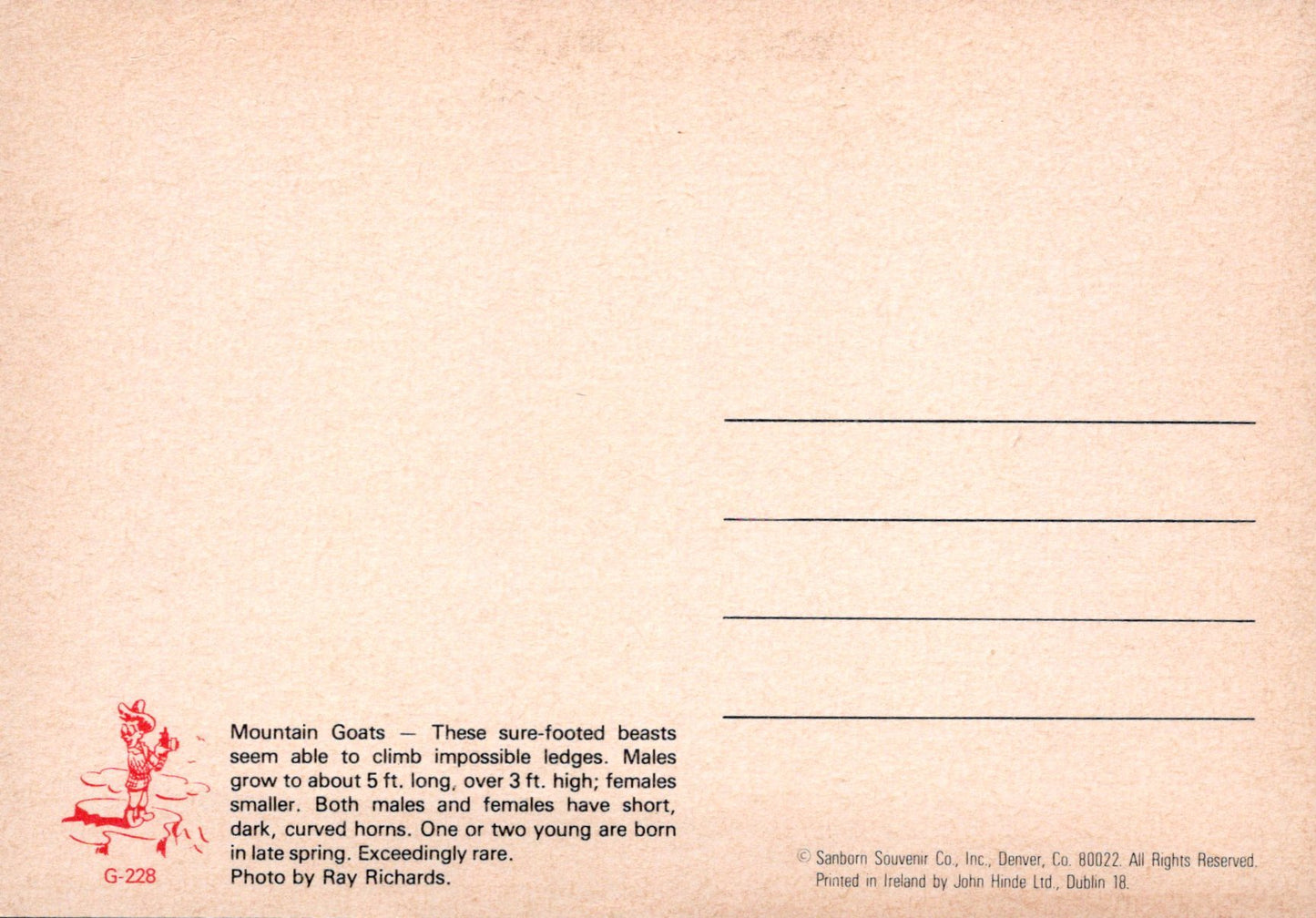 Animals Postcard - Three Mountain Goats Climbing  SW18093