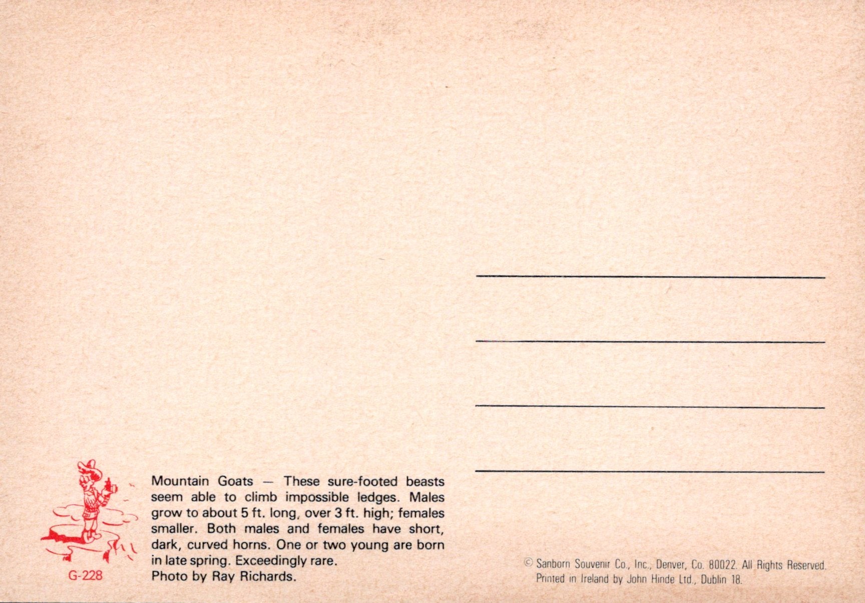 Animals Postcard - Three Mountain Goats Climbing  SW18093