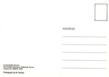 Load image into Gallery viewer, Animals Postcard - The Donkey Sanctuary, Sidmouth, Devon  SW18095
