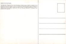 Load image into Gallery viewer, Singapore Postcard - The Mandarin Luxury Hotel   SW18096
