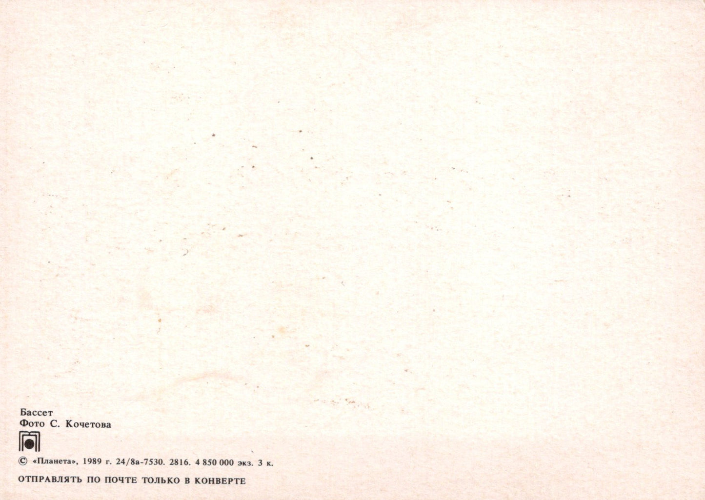 Animals Postcard - Dogs, The Bassett Hound  SW18118