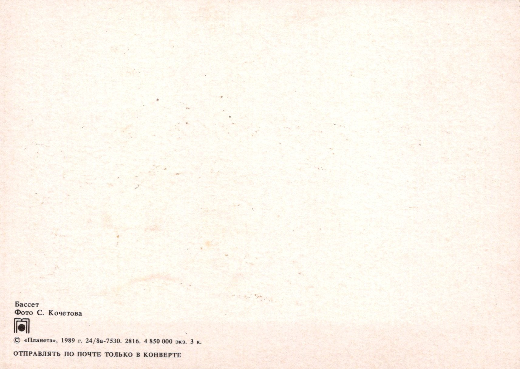 Animals Postcard - Dogs, The Bassett Hound  SW18118