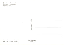 Load image into Gallery viewer, Italy Postcard - Citta Di Castella, Pinacote Communale, Umbria  SW18124
