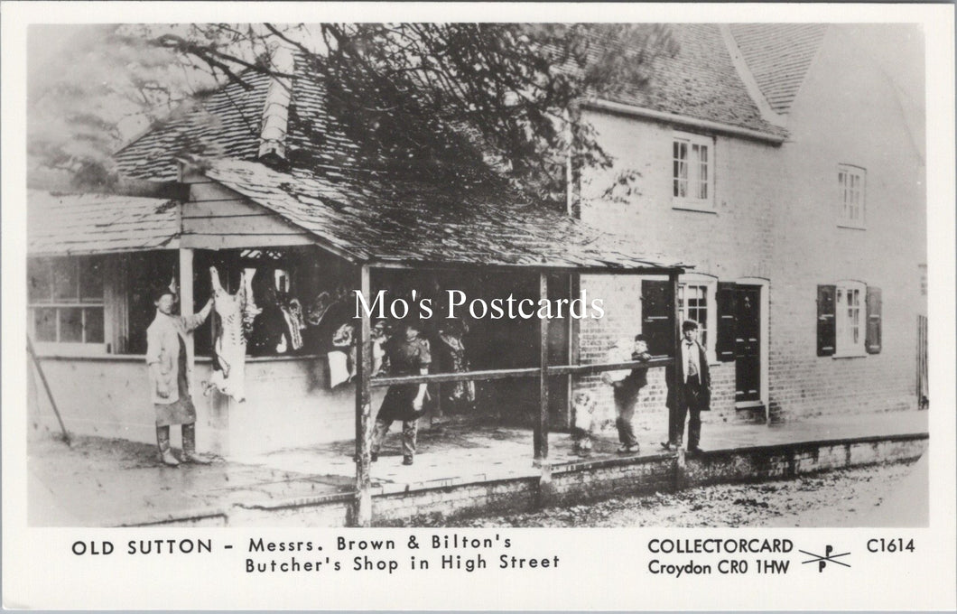 London Postcard - Old Sutton Butcher's Shop in High Street   SW17546