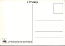 Load image into Gallery viewer, South Africa Postcard - Durban Harbour in The 1890&#39;s - SW17657
