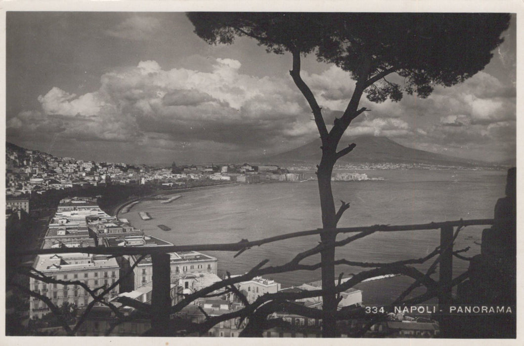 Panoramic view of a coastal city with a tree in the foreground, likely Naples, Italy.