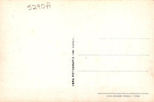 Load image into Gallery viewer, Vintage postcard with &#39;Vera Fotodruck&#39; branding on a light background
