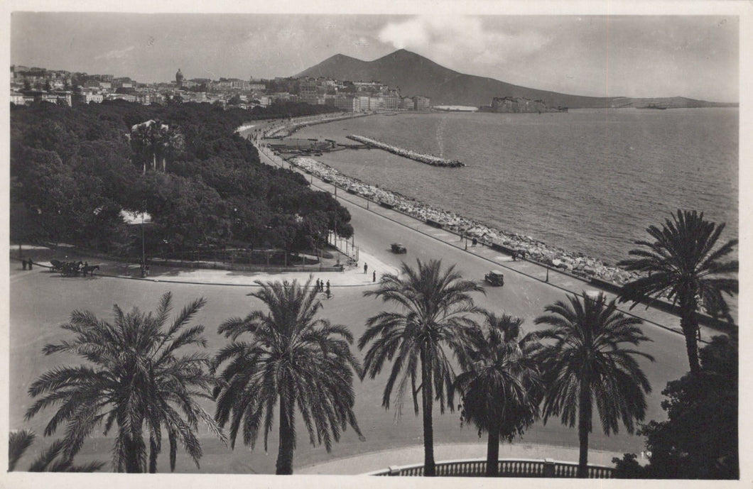 Vintage black and white photo of a coastal scene with palm trees, beach, and mountain.