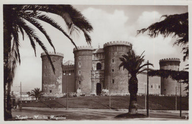 Vintage black and white photo of a large castle with palm trees in front