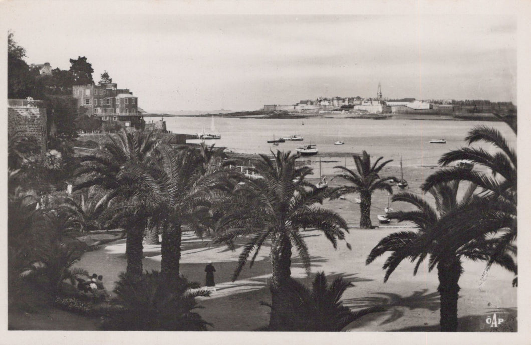 Vintage black and white photo of a coastal scene with palm trees and buildings.
