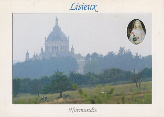 Scenic view of Lisieux, Normandie with a cathedral and landscape.