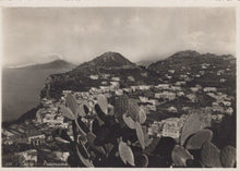 Load image into Gallery viewer, Vintage black and white photo of a coastal town with mountains and cacti.

