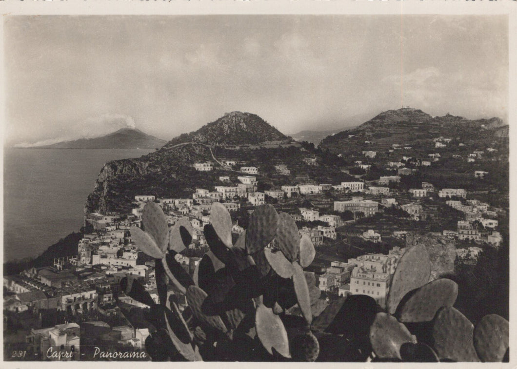 Vintage black and white photo of a coastal town with mountains and cacti.