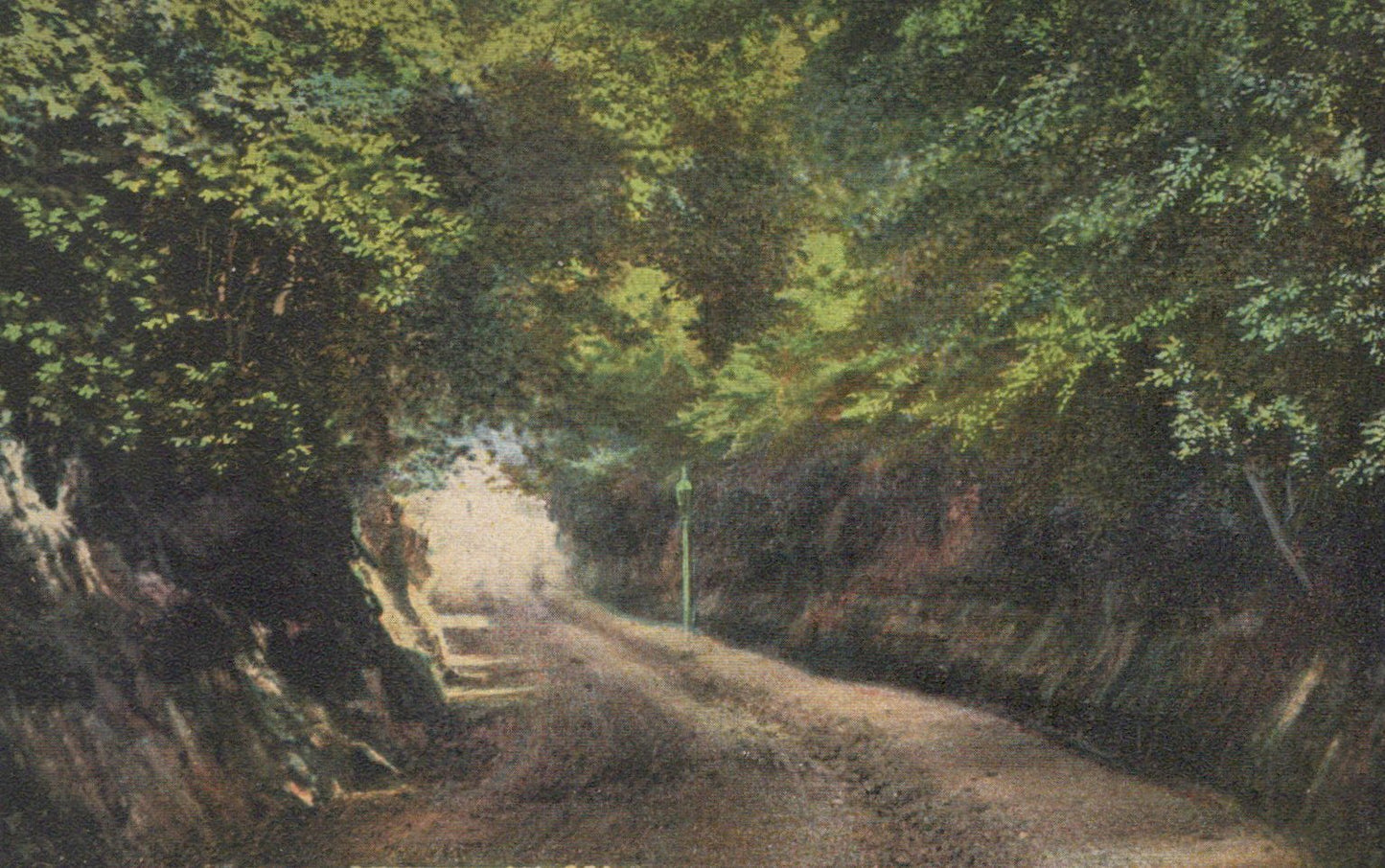 Sussex Postcard - Chantry Lane, Bexhill-On-Sea   SW19285