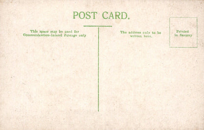 Sussex Postcard - Chantry Lane, Bexhill-On-Sea   SW19285