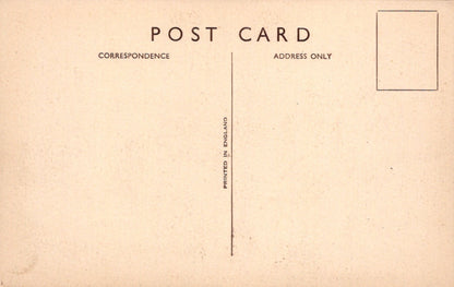 Sussex Postcard - Undercliff Walk, Rottingdean   SW19306