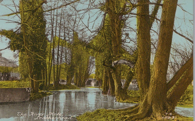 Surrey Postcard - The River Mole, Leatherhead   SW19312