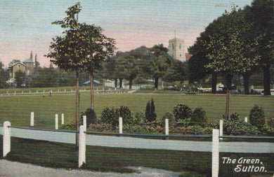 Vintage postcard of a park with trees and buildings in the background, labeled 'The Green, Sutton'.
