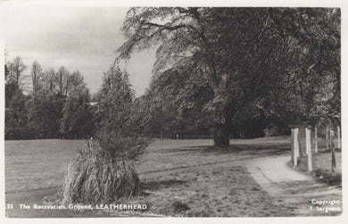 Black and white photo of a park with trees and a path, labeled 'The Recreation Ground, Leatherhead'.