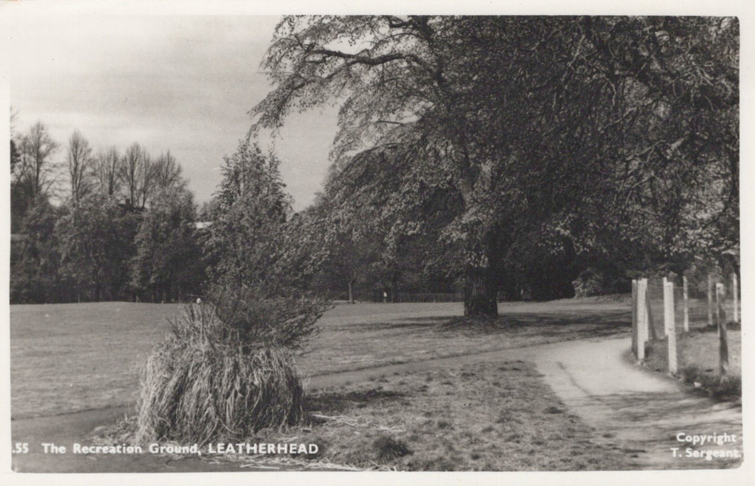 Black and white photo of a park with trees and a path, labeled 'The Recreation Ground, Leatherhead'.