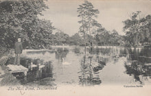 Load image into Gallery viewer, Vintage postcard of a pond with swans and a person standing on a dock, surrounded by trees.
