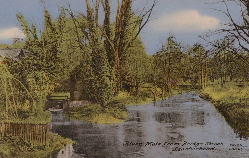 Vintage illustration of a river scene with trees and a building, labeled 'River Mole from Bridge Street, Leatherhead'.