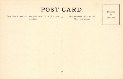 Vintage postcard with printed text and a vertical line for writing addresses.