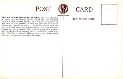 Vintage postcard with text and a logo on a white background