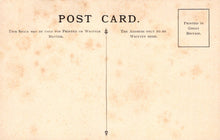 Load image into Gallery viewer, British Museum Postcard - British Trees, Sycamore Tree SW20731
