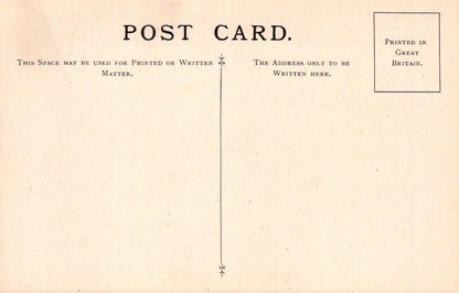 British Museum Postcard - British Trees, The Sycamore Tree SW20733