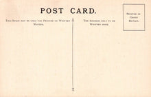 Load image into Gallery viewer, British Museum Postcard - British Trees, The Sycamore Tree SW20733
