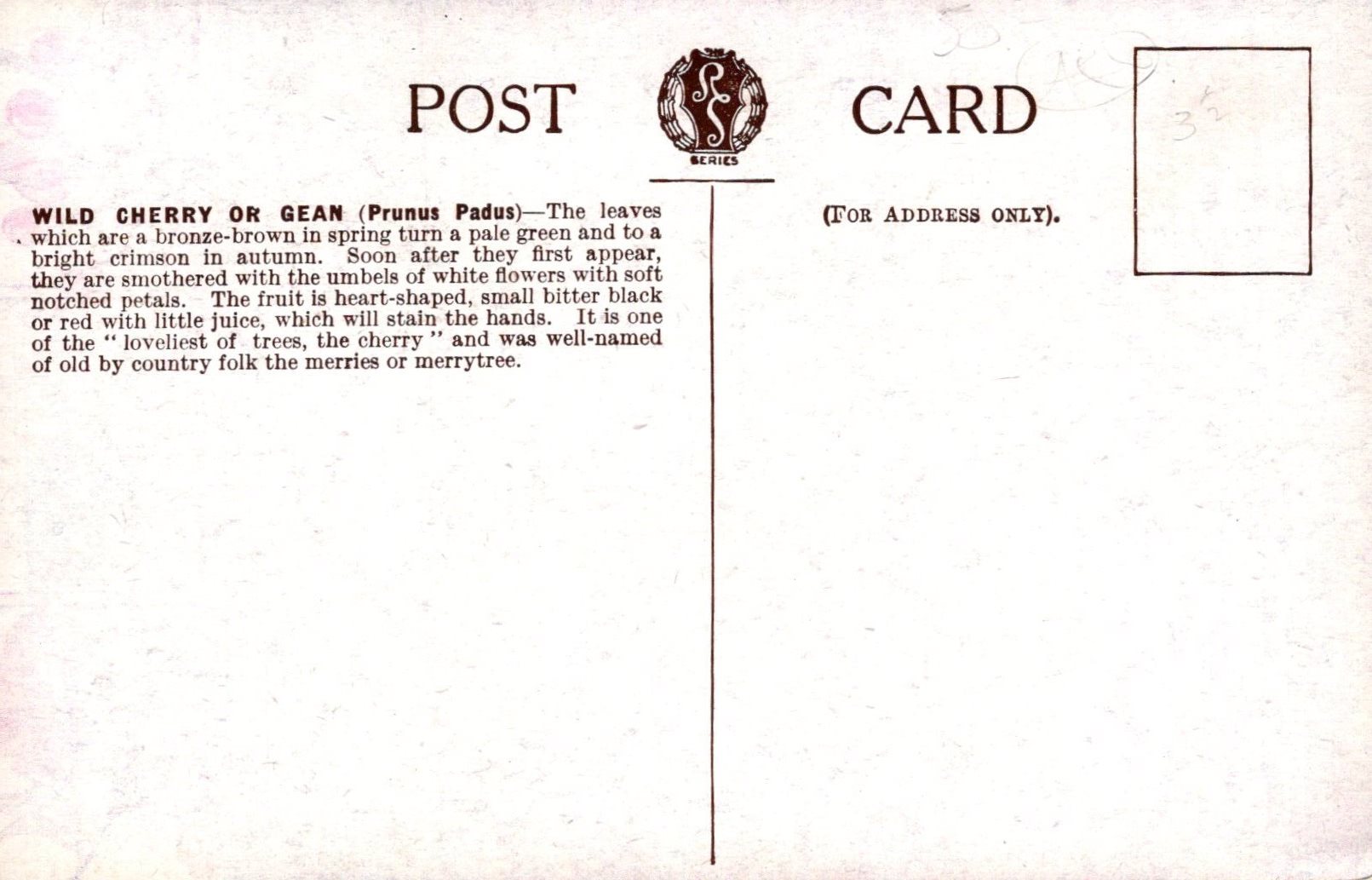 Vintage postcard with text and a logo on a white background