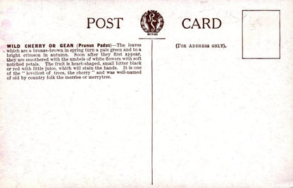 Vintage postcard with text and a logo on a white background
