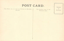 Load image into Gallery viewer, Vintage postcard with printed text and a vertical line on a beige background

