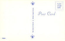 Load image into Gallery viewer, Blank postcard with Scout logo and text on a light gradient background
