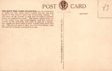Load image into Gallery viewer, Vintage postcard with text and a logo on a beige background
