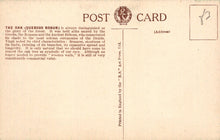 Load image into Gallery viewer, Vintage postcard with text about the oak tree and branding details.
