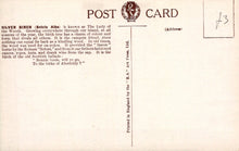 Load image into Gallery viewer, Nature Postcard - Trees, Silver Birch Tree, Betula Alba   VT430
