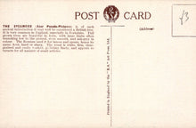 Load image into Gallery viewer, Back of a postcard with text and a logo, featuring a light brown background.

