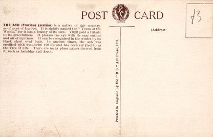 Vintage postcard with text and a logo on a beige background