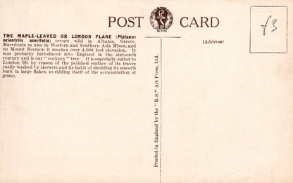 Back of a vintage postcard with text and a logo on a beige background