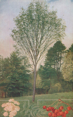 Tree in a park with flowers and berries at the bottom corners